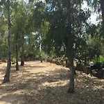 Hébergement de vacances Sa Domo De Mannoi Su Catreathu Orosei